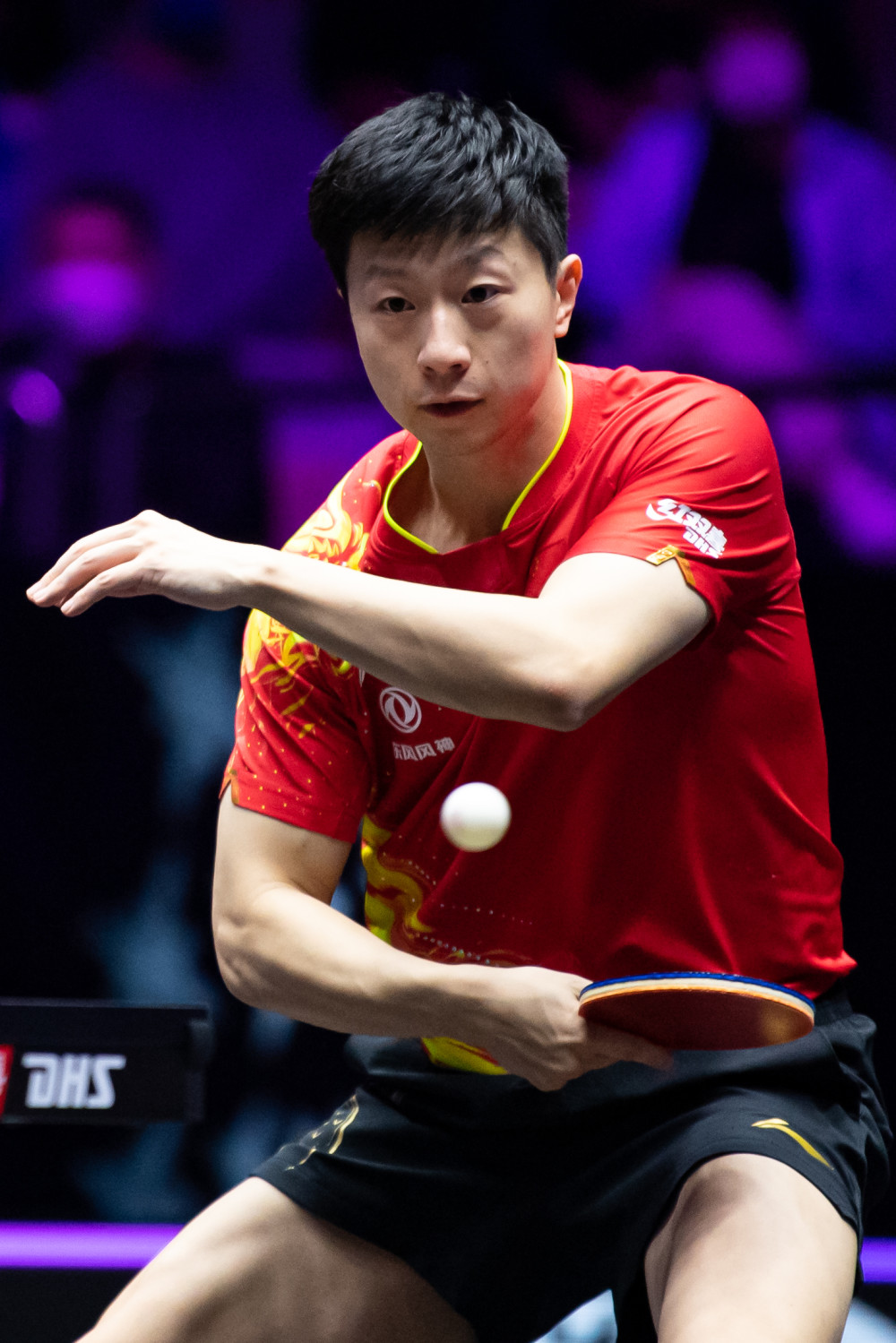 典的机会 典的机会