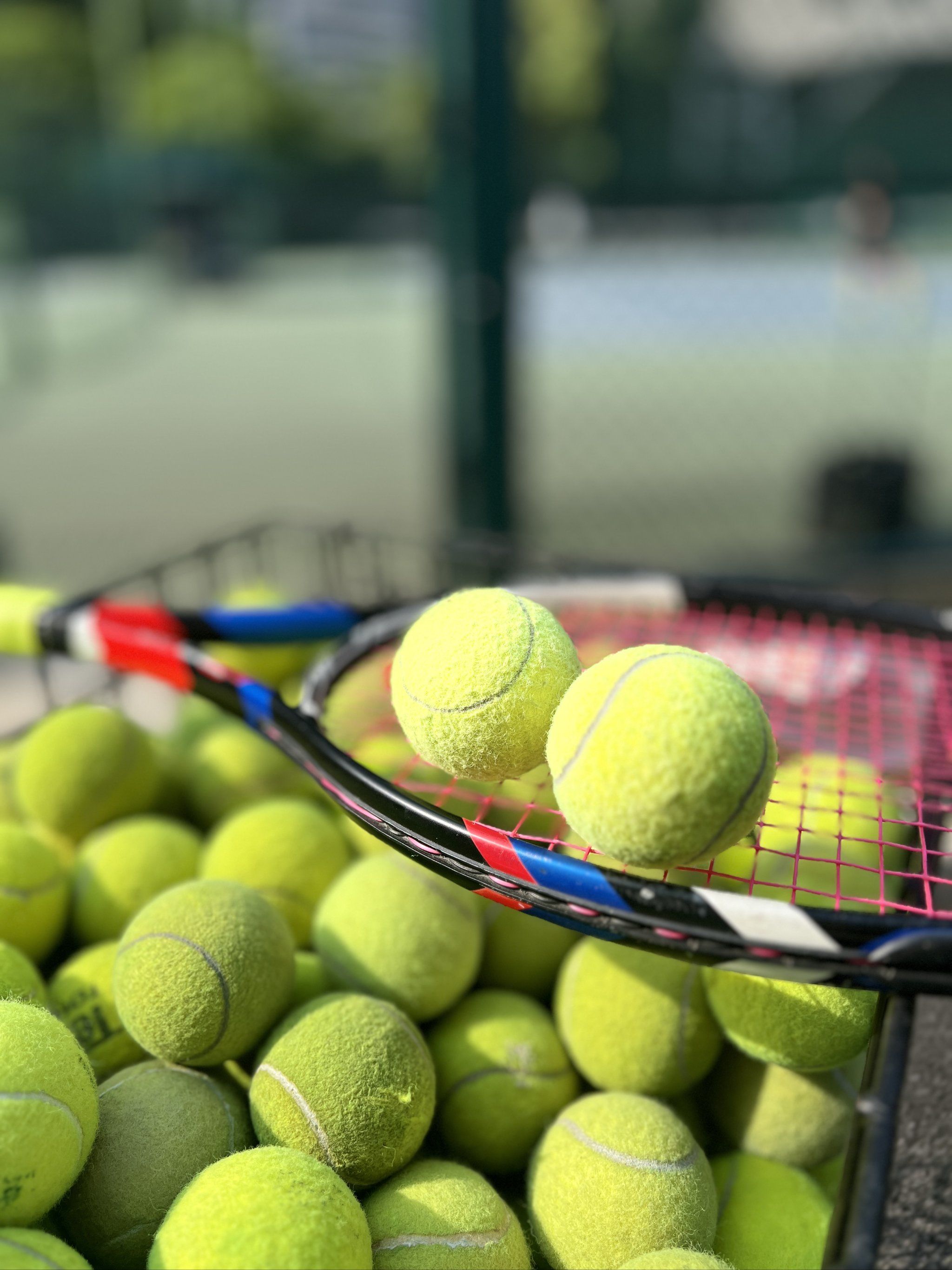 的较量虽然 的较量虽然