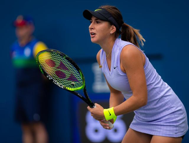 阿德利的案 阿德利的案