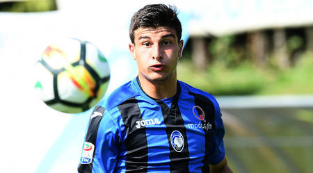 不仅能够为 不仅能够为